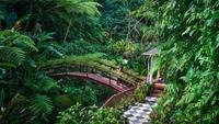 Hanging Gardens of Bali River Bridge